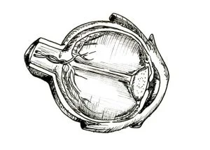 Eye study, hand-drawn ink illustration